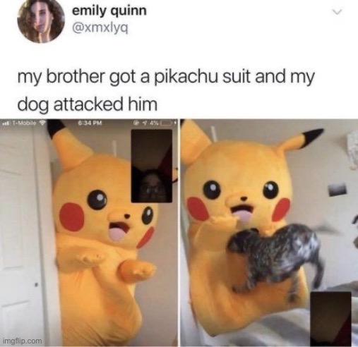 image tagged in memes | made w/ Imgflip meme maker