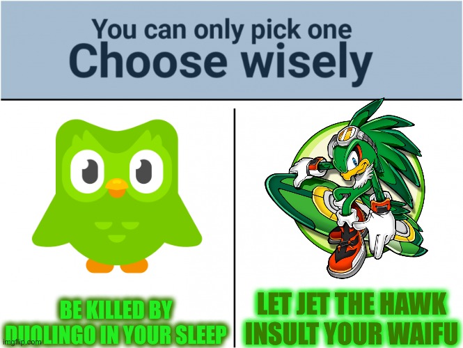 the hardest choices requires the strongest wills | BE KILLED BY DUOLINGO IN YOUR SLEEP; LET JET THE HAWK INSULT YOUR WAIFU | image tagged in you can pick only one choose wisely | made w/ Imgflip meme maker