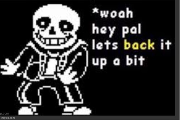 Whoa hey pal let's back it up a bit | image tagged in whoa hey pal let's back it up a bit | made w/ Imgflip meme maker