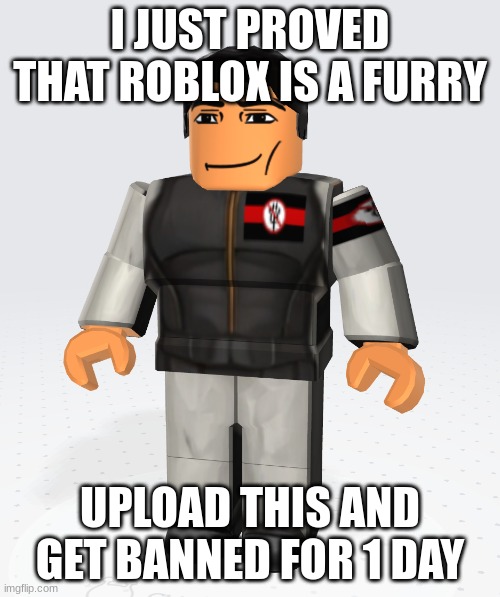 Off topic: This is my Roblox skin. I'm not a furry!