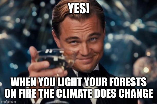 Leonardo Dicaprio Cheers | YES! WHEN YOU LIGHT YOUR FORESTS ON FIRE THE CLIMATE DOES CHANGE | image tagged in memes,leonardo dicaprio cheers | made w/ Imgflip meme maker