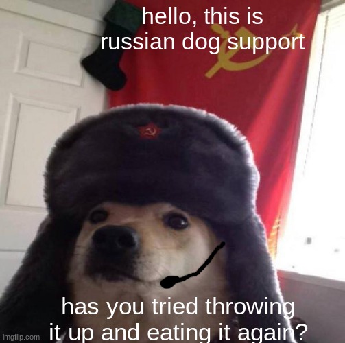 Russian Doge | hello, this is russian dog support; has you tried throwing it up and eating it again? | image tagged in russian doge | made w/ Imgflip meme maker