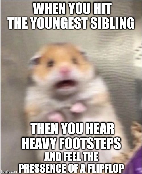 ? | WHEN YOU HIT THE YOUNGEST SIBLING; THEN YOU HEAR HEAVY FOOTSTEPS; AND FEEL THE PRESSENCE OF A FLIPFLOP | image tagged in scared hamster | made w/ Imgflip meme maker