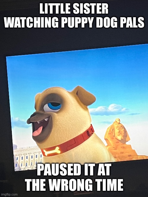 Whoops | LITTLE SISTER WATCHING PUPPY DOG PALS; PAUSED IT AT THE WRONG TIME | image tagged in memes,tv show | made w/ Imgflip meme maker