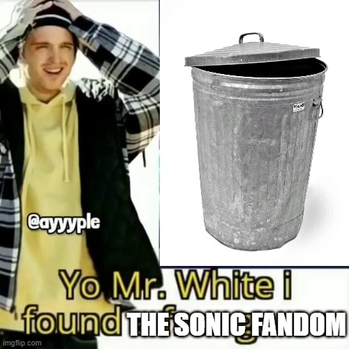 THE SONIC FANDOM | made w/ Imgflip meme maker