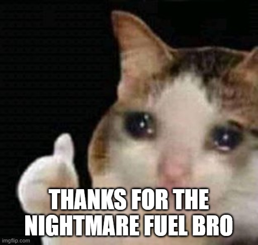 sad thumbs up cat | THANKS FOR THE NIGHTMARE FUEL BRO | image tagged in sad thumbs up cat | made w/ Imgflip meme maker