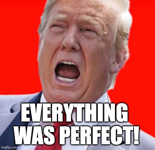 Everything Was Perfect | EVERYTHING 
WAS PERFECT! | image tagged in trump,indictment,corruption,espionage,grifter,organized crime | made w/ Imgflip meme maker