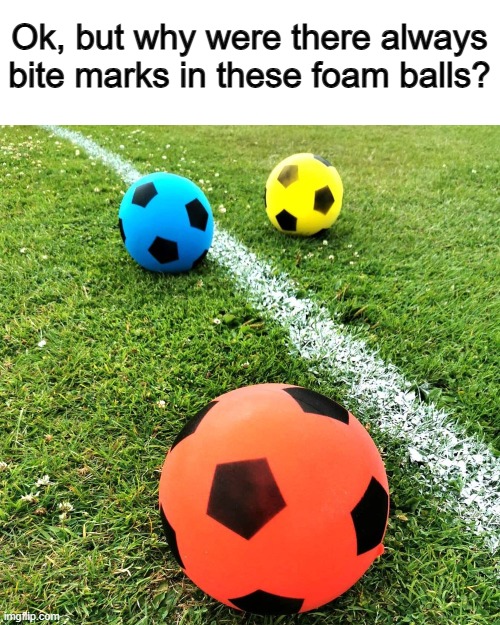Why? Idk :P | Ok, but why were there always bite marks in these foam balls? | image tagged in wth | made w/ Imgflip meme maker