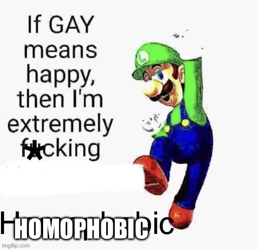 How gay are you(I’m not actually homophobic) | HOMOPHOBIC | image tagged in gay | made w/ Imgflip meme maker