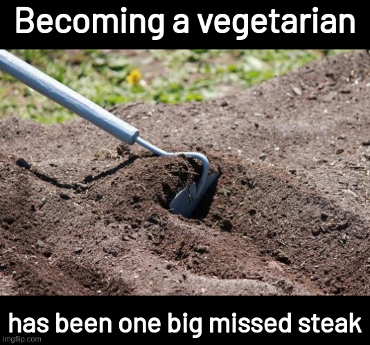 garden hoe | Becoming a vegetarian; has been one big missed steak | image tagged in garden hoe | made w/ Imgflip meme maker