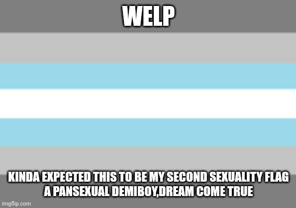 Guess who's a demiboy? | WELP; KINDA EXPECTED THIS TO BE MY SECOND SEXUALITY FLAG
A PANSEXUAL DEMIBOY,DREAM COME TRUE | image tagged in demiboy flag | made w/ Imgflip meme maker