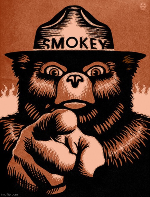 Smoky the Bear | image tagged in smoky the bear | made w/ Imgflip meme maker