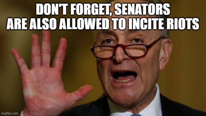 Chuck Schumer | DON'T FORGET, SENATORS ARE ALSO ALLOWED TO INCITE RIOTS | image tagged in chuck schumer | made w/ Imgflip meme maker