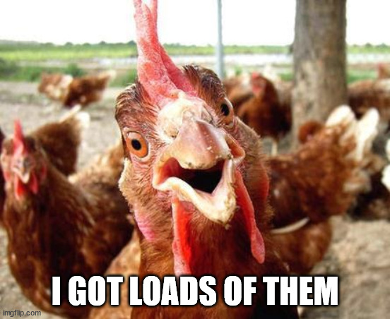 Chicken | I GOT LOADS OF THEM | image tagged in chicken | made w/ Imgflip meme maker