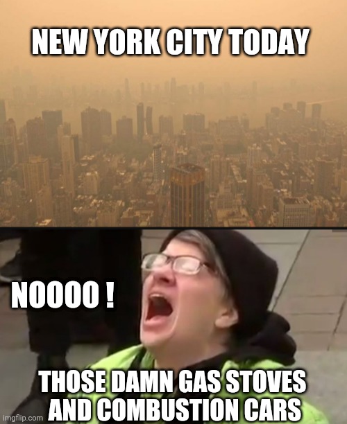 Washington and New York Stoves | NEW YORK CITY TODAY; NOOOO ! THOSE DAMN GAS STOVES
 AND COMBUSTION CARS | image tagged in screaming liberal,leftists,democrats,policies,green new | made w/ Imgflip meme maker