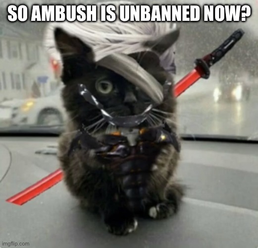 Doktor, Turn Off My Cute Inhibitors! | SO AMBUSH IS UNBANNED NOW? | image tagged in raiden cat | made w/ Imgflip meme maker