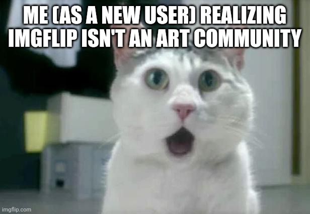 Me in the past XD | ME (AS A NEW USER) REALIZING IMGFLIP ISN'T AN ART COMMUNITY | image tagged in memes,omg cat,new users,new user,imgflip,art | made w/ Imgflip meme maker