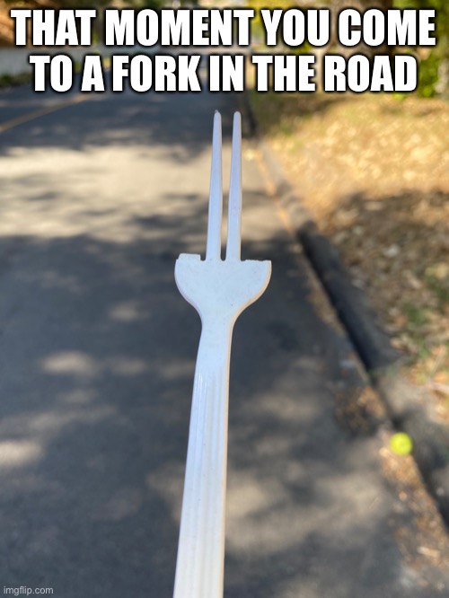 Decisions, decisions | THAT MOMENT YOU COME TO A FORK IN THE ROAD | image tagged in funny meme,stacey abrams fork | made w/ Imgflip meme maker