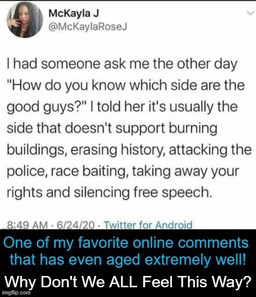McKayla 'Gets It' & The Rest of Us Should, too. | image tagged in politics,liberal vs conservative,wrong vs right,so true,america,common sense | made w/ Imgflip meme maker