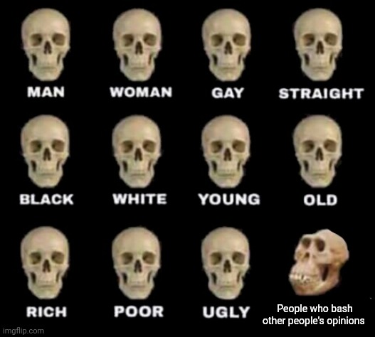 We're all entitled to our opinions. | People who bash other people's opinions | image tagged in idiot skull,opinion,opinions,memes,meme,bash | made w/ Imgflip meme maker