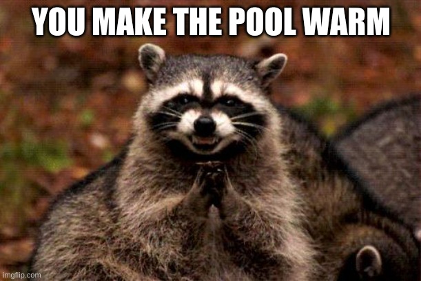 Evil Plotting Raccoon Meme | YOU MAKE THE POOL WARM | image tagged in memes,evil plotting raccoon | made w/ Imgflip meme maker