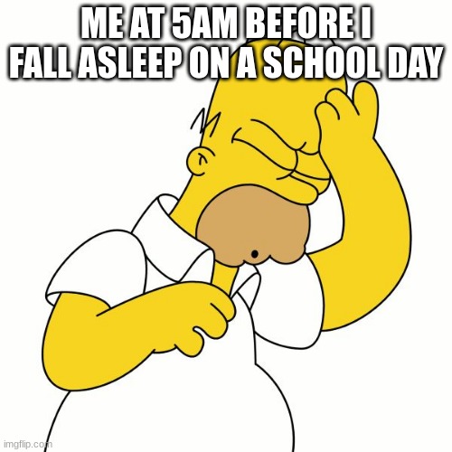 Doh | ME AT 5AM BEFORE I FALL ASLEEP ON A SCHOOL DAY | image tagged in doh | made w/ Imgflip meme maker