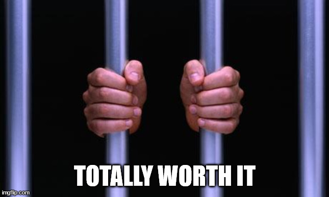 Prison Bars | TOTALLY WORTH IT | image tagged in prison bars | made w/ Imgflip meme maker