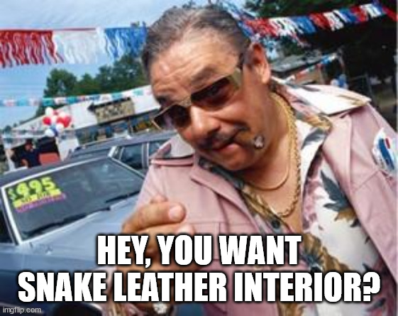 used car salesman | HEY, YOU WANT SNAKE LEATHER INTERIOR? | image tagged in used car salesman | made w/ Imgflip meme maker