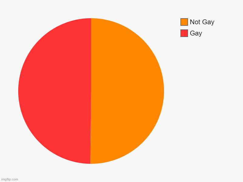 Gay, Not Gay | image tagged in charts,pie charts | made w/ Imgflip chart maker