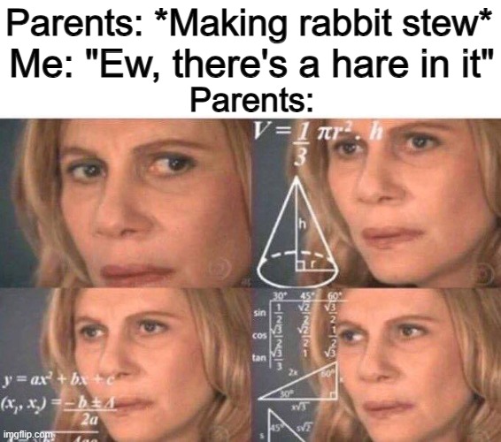 This one's actually funny XD | Me: "Ew, there's a hare in it"; Parents: *Making rabbit stew*; Parents: | image tagged in math lady/confused lady | made w/ Imgflip meme maker