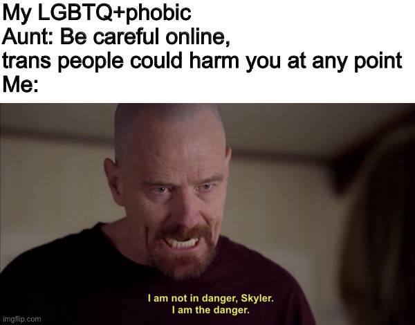 My LGBTQ+phobic Aunt: Be careful online, trans people could harm you at any point
Me: | image tagged in blank white template,i am not in danger skyler i am the danger | made w/ Imgflip meme maker