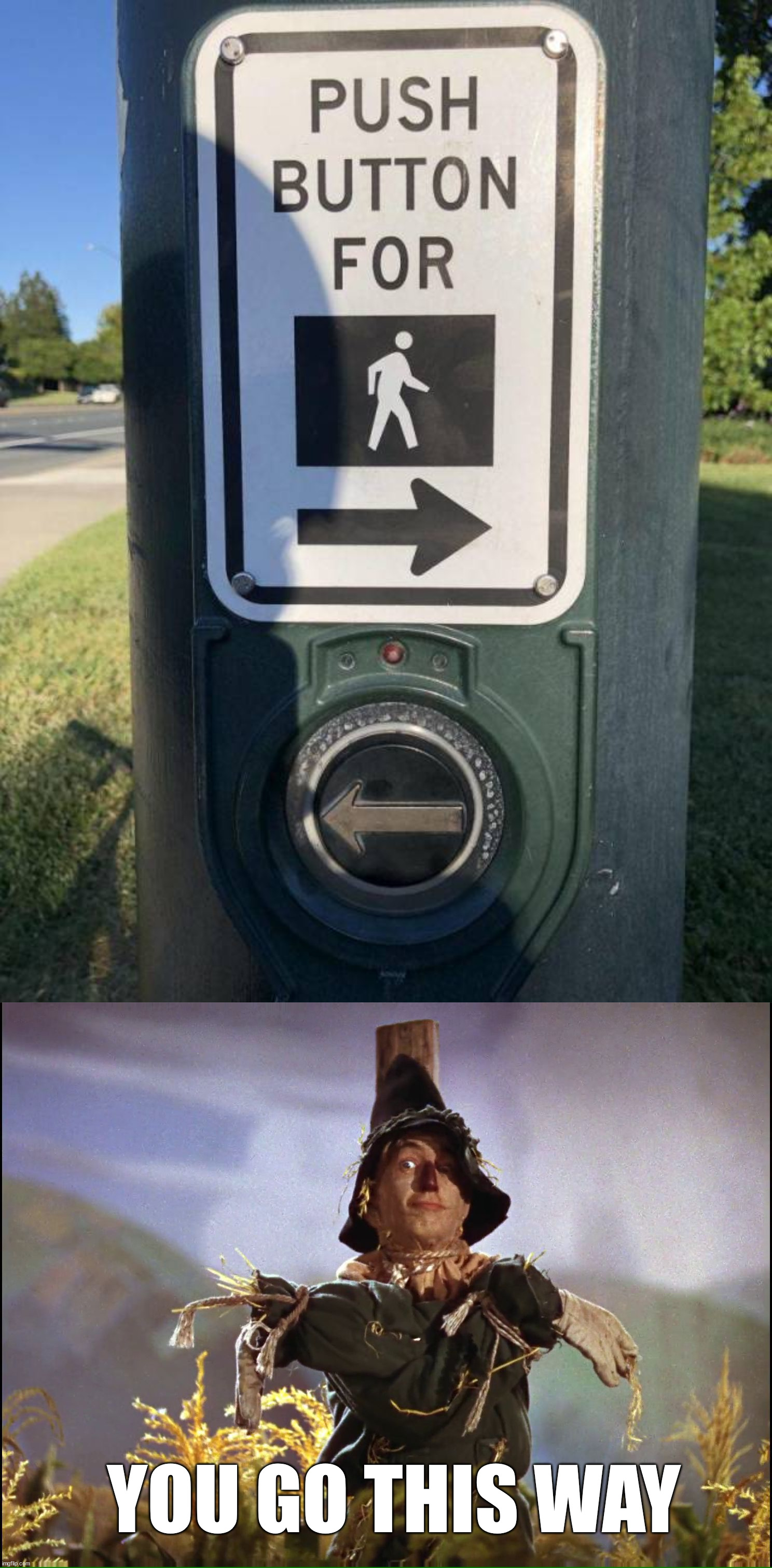 YOU GO THIS WAY | image tagged in wizard of oz scarecrow which way | made w/ Imgflip meme maker