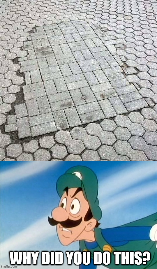 WHY DID YOU DO THIS? | image tagged in why did you do that luigi,you had one job | made w/ Imgflip meme maker