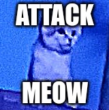 Mitten's. | ATTACK MEOW | image tagged in mitten's | made w/ Imgflip meme maker