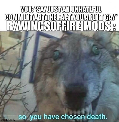 so you have chosen death | R/WINGSOFFIRE MODS : YOU: *SAY JUST AN UNHATEFUL COMMENT ABT THE FACT YOU AREN'T GAY* | image tagged in so you have chosen death | made w/ Imgflip meme maker