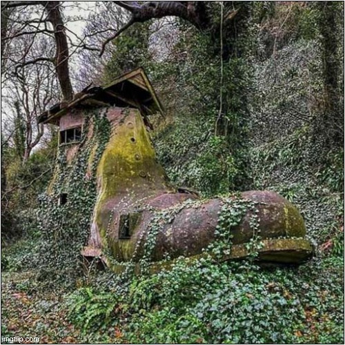 I'm Do Hope An Old Lady Lives Here ! | image tagged in old lady,shoe,house,front page | made w/ Imgflip meme maker