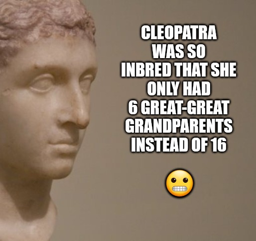More like a family wreath | CLEOPATRA WAS SO INBRED THAT SHE ONLY HAD 6 GREAT-GREAT GRANDPARENTS INSTEAD OF 16; 😬 | image tagged in egypt,history | made w/ Imgflip meme maker
