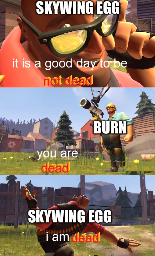 Heavy is dead | SKYWING EGG; BURN; SKYWING EGG | image tagged in heavy is dead | made w/ Imgflip meme maker