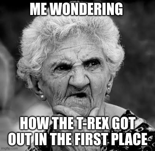 The electric fence should've stopped the Rex... What is it? Electric-proof? | ME WONDERING; HOW THE T-REX GOT OUT IN THE FIRST PLACE | image tagged in wondering old lady,jurassic park,juassicparkfan102504 | made w/ Imgflip meme maker