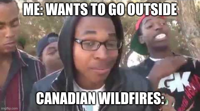 canadian wildfires are really bad | ME: WANTS TO GO OUTSIDE; CANADIAN WILDFIRES: | image tagged in i'm about to end this man's whole career | made w/ Imgflip meme maker