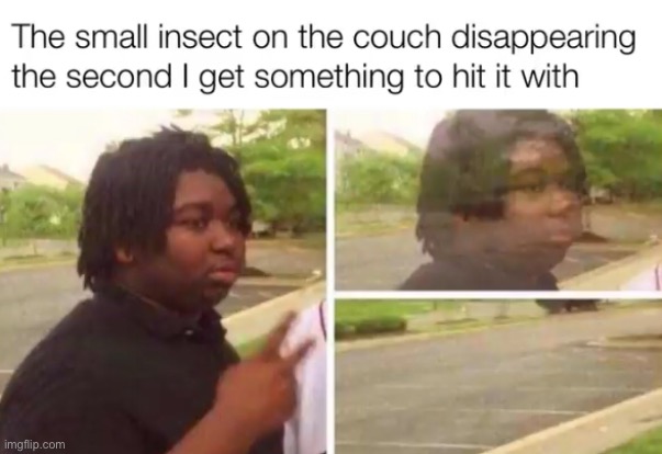 Meme #1,781 | image tagged in memes,repost,relatable,insects,bugs,disappearing | made w/ Imgflip meme maker