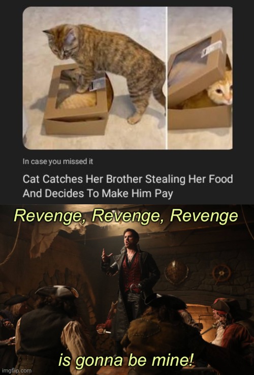 A cat's payback | image tagged in captain hook revenge,payback,memes,cats,cat,food | made w/ Imgflip meme maker