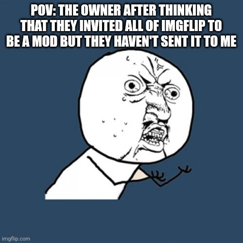 >:) | POV: THE OWNER AFTER THINKING THAT THEY INVITED ALL OF IMGFLIP TO BE A MOD BUT THEY HAVEN'T SENT IT TO ME | image tagged in memes,y u no | made w/ Imgflip meme maker