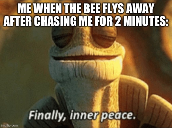 So true | ME WHEN THE BEE FLYS AWAY AFTER CHASING ME FOR 2 MINUTES: | image tagged in finally inner peace | made w/ Imgflip meme maker