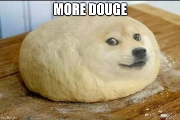 dough doge | MORE DOUGE | image tagged in dough doge | made w/ Imgflip meme maker