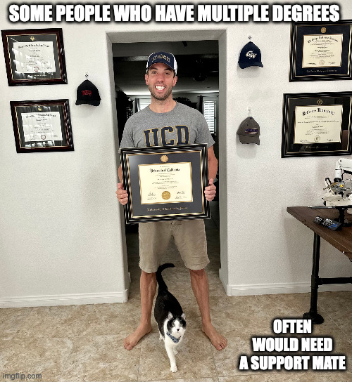 Multi-Degree Graduate With Cat | SOME PEOPLE WHO HAVE MULTIPLE DEGREES; OFTEN WOULD NEED A SUPPORT MATE | image tagged in cats,memes,school,college | made w/ Imgflip meme maker