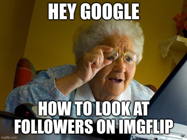 Seriously. How can you see who follows you? | HEY GOOGLE; HOW TO LOOK AT FOLLOWERS ON IMGFLIP | image tagged in memes,grandma finds the internet | made w/ Imgflip meme maker