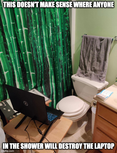Computer Setup in the Bathroom | THIS DOESN'T MAKE SENSE WHERE ANYONE; IN THE SHOWER WILL DESTROY THE LAPTOP | image tagged in bathroom,computer,memes | made w/ Imgflip meme maker