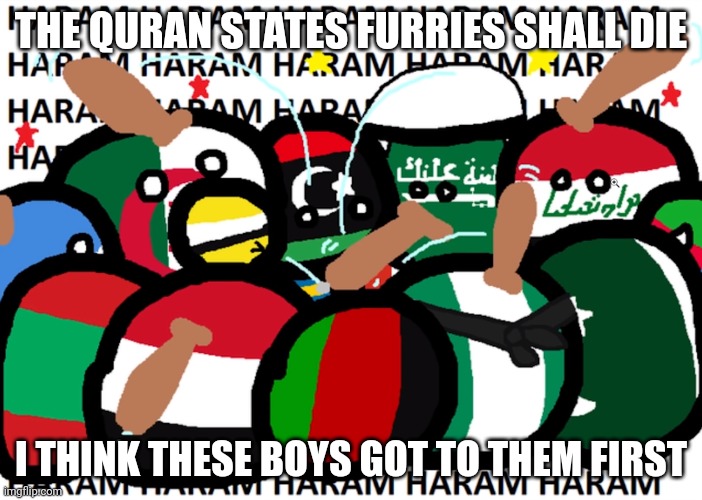 countryballs haram | THE QURAN STATES FURRIES SHALL DIE; I THINK THESE BOYS GOT TO THEM FIRST | image tagged in countryballs haram | made w/ Imgflip meme maker