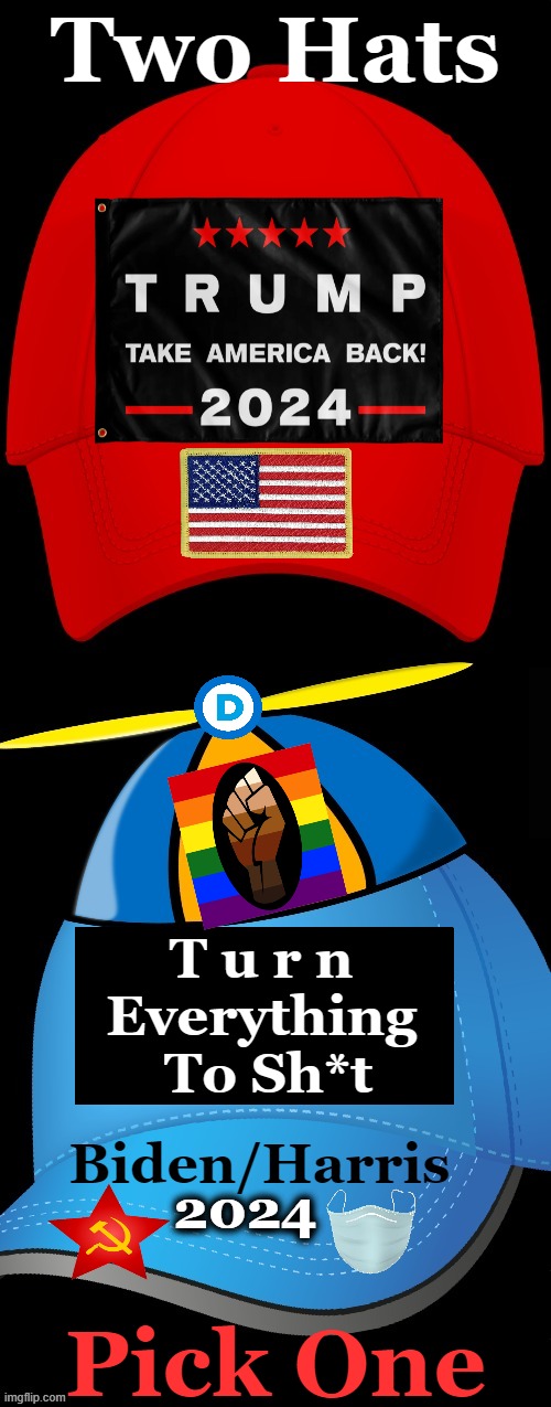 Make America Sane Again | Two Hats; T u r n 
Everything 
To Sh*t; Biden/Harris; 2024; Pick One | image tagged in politics,political humor,choices,you can pick only one choose wisely,donald trump,joe biden | made w/ Imgflip meme maker